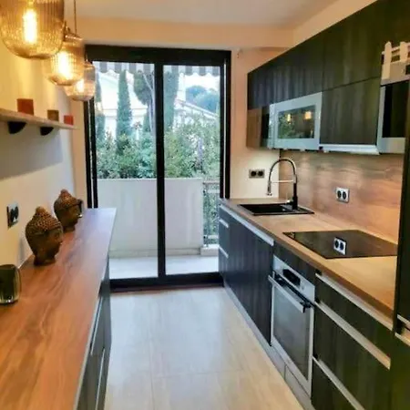 Appartement 2 Bedrooms Seafront Cannes